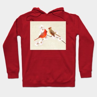 Northern Cardinal Birds Hoodie